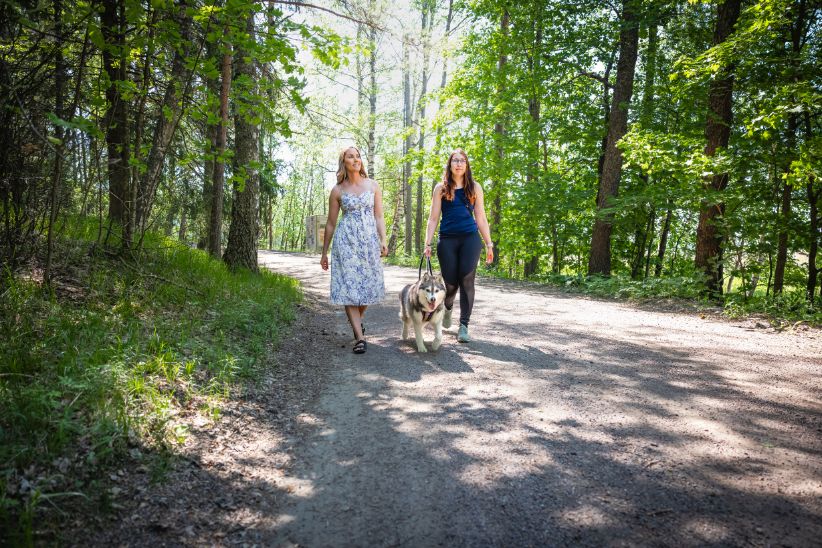 Två damer promenerar med hund i skog på sommaren.